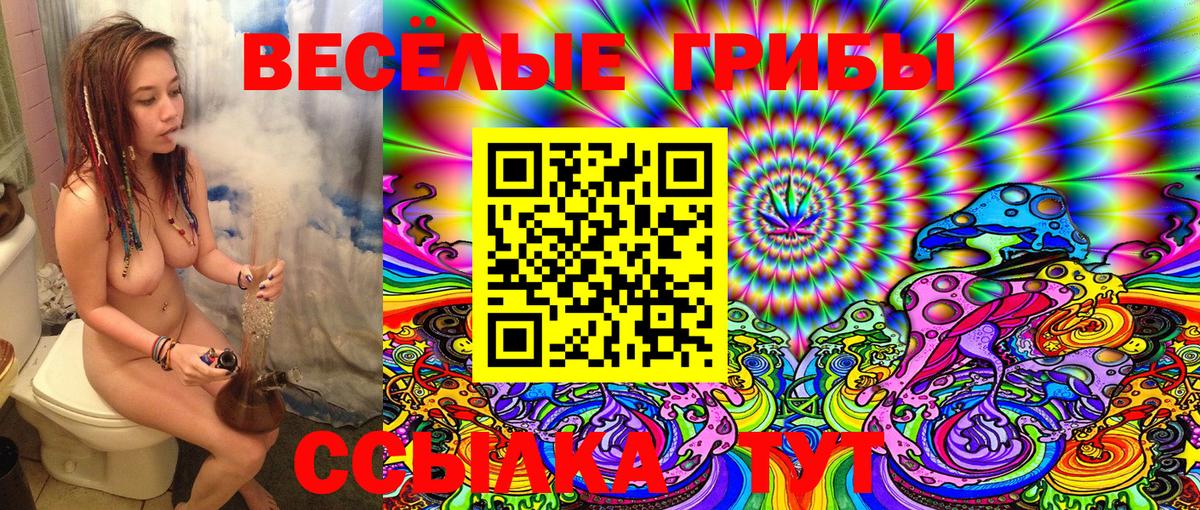 Псилоцибиновые грибы MAGIC MUSHROOMS Новый Уренгой