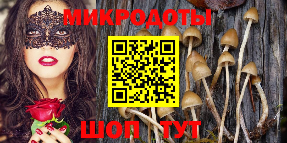 Псилоцибиновые грибы прущие грибы  Псилоцибиновые грибы Psilocybine cubensis  Новый Уренгой  Вход с VPN 